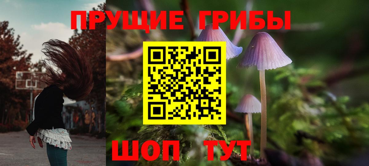 Галлюциногенные грибы мицелий Камышин