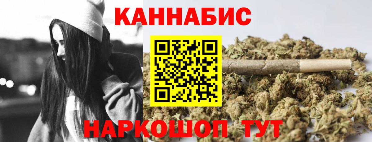 Конопля сатива Камышин
